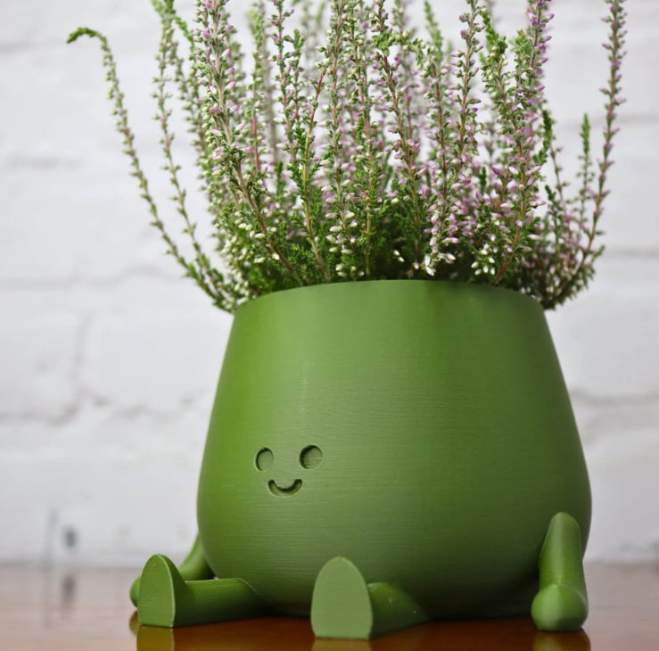 BloomBuddy – Lächelnde Pflanzen, glückliches Zuhause!