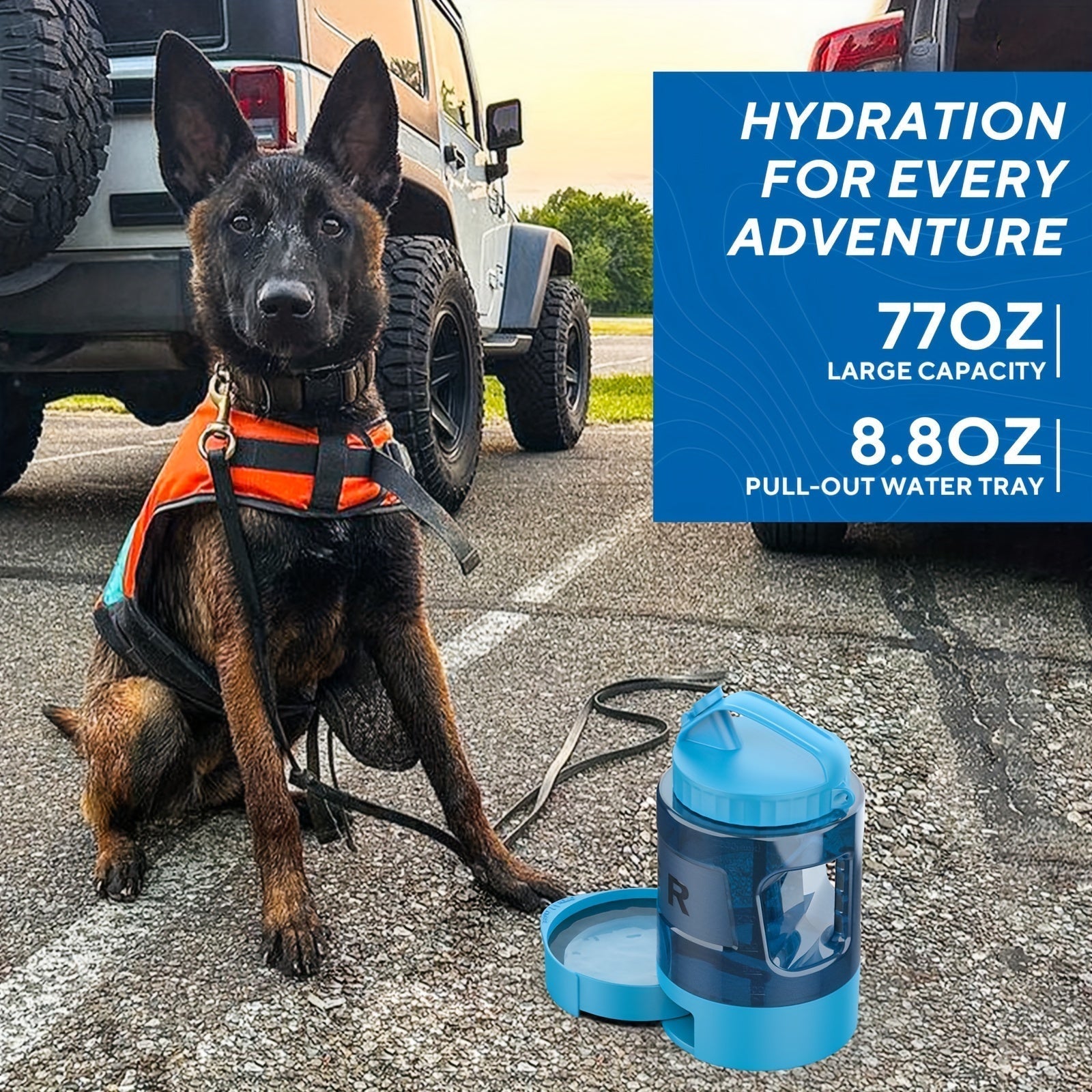 AquaTails | Hunde-Trinkflasche To-Go | 2,18L Volumen & Faltbare Schale | Für Outdoor, Reisen & Abenteuer