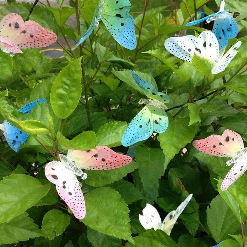 LumiWings – Verwandle Garten & Zuhause in ein Märchenland!