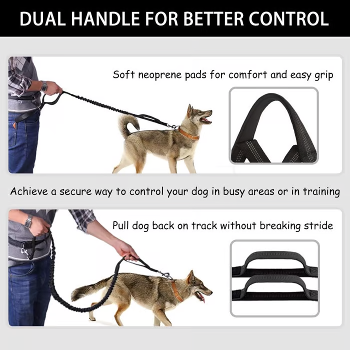 PawsFree Pro – Stressfreie Spaziergänge mit deinem Hund!