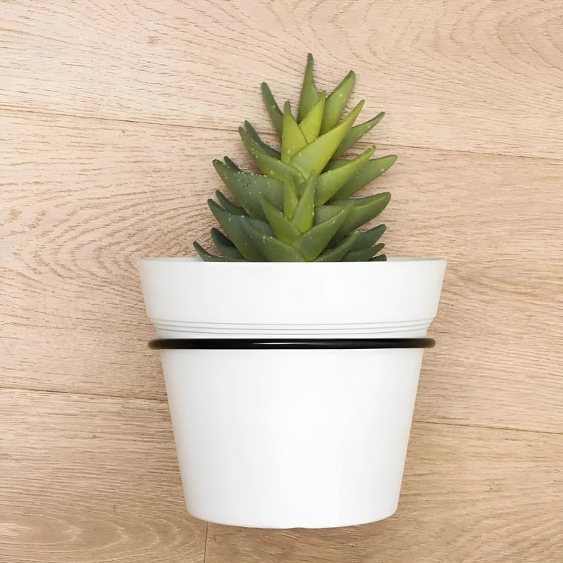 1+1 GRATIS | BotaniLoop - Von kahlen Wänden zu blühenden Schönheiten! [Letzter Tag Rabatt]