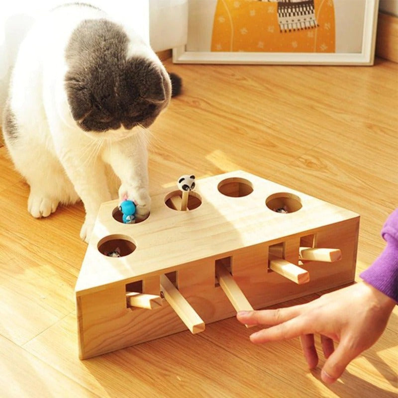 PawFun Wood – Endloser Spielspaß für glückliche Katzen!