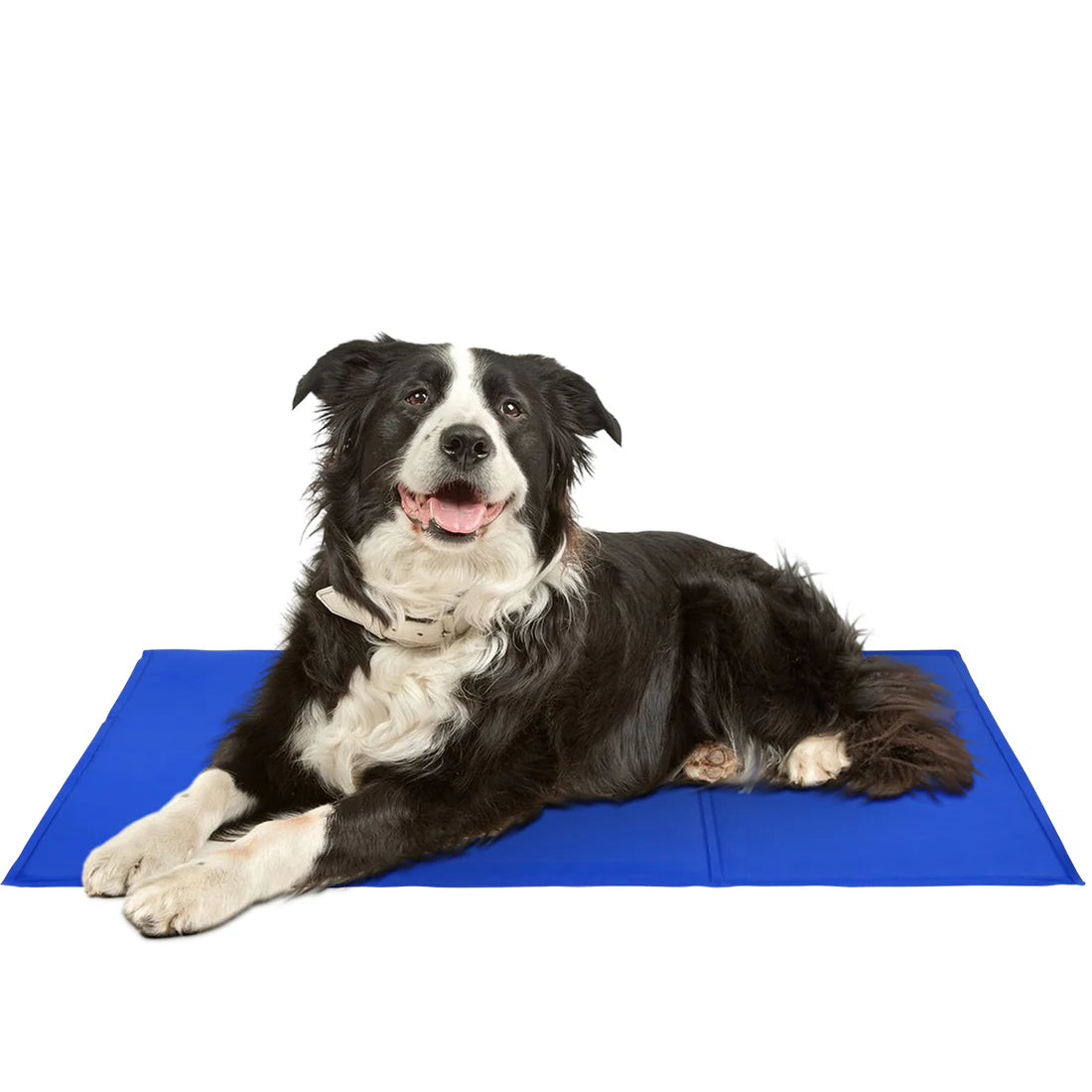ChilloPet GelMat | Selbstkühlende Matte für Hunde & Katzen | Stromlos & faltbar | Ideal für Sommer & Gelenkschmerzen