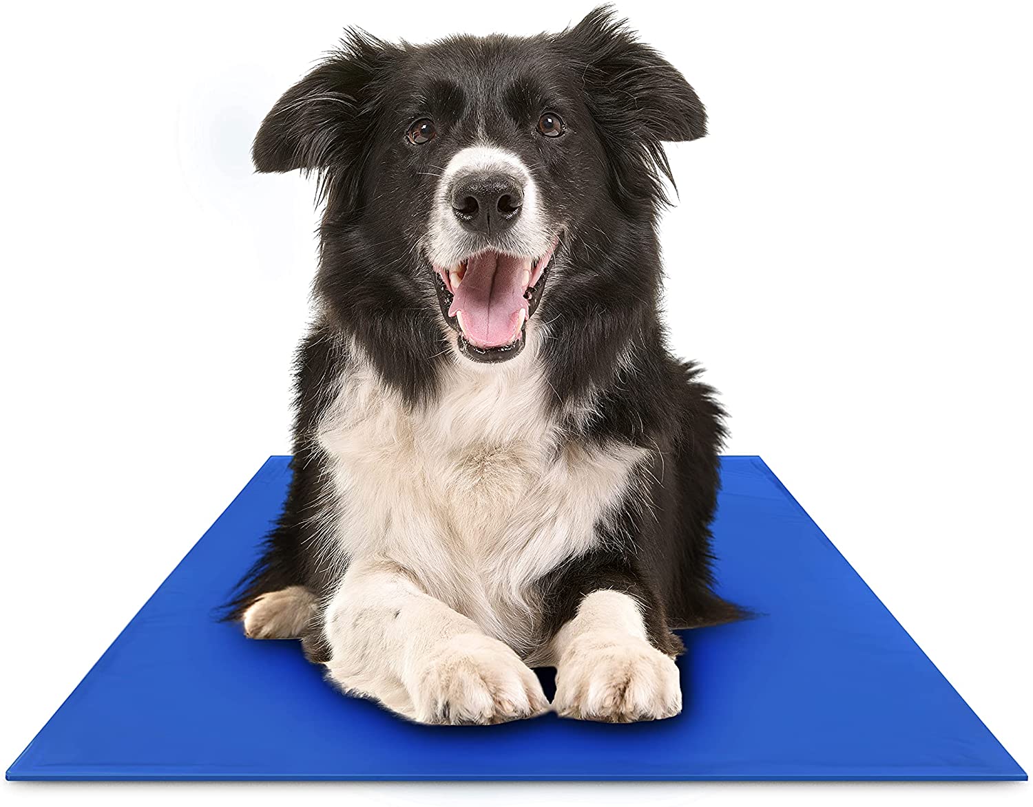 ChilloPet GelMat | Selbstkühlende Matte für Hunde & Katzen | Stromlos & faltbar | Ideal für Sommer & Gelenkschmerzen