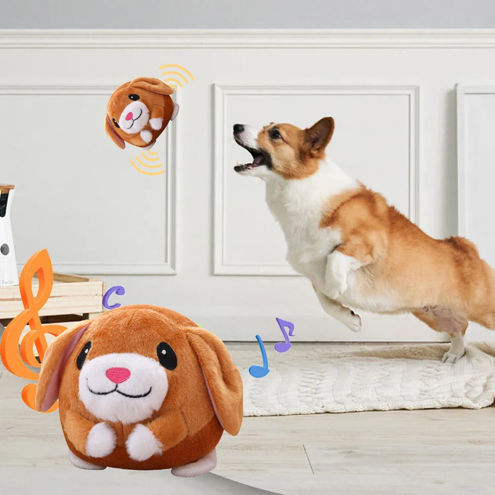 PawMotion – Stundenlanges Spielen ohne Langeweile
