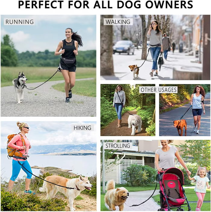 PawsFree Pro – Stressfreie Spaziergänge mit deinem Hund!