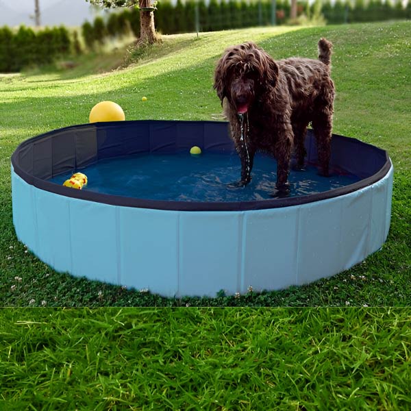 FoldiPool – Die faltbare Pool-Oase für Haustiere & Kinder!