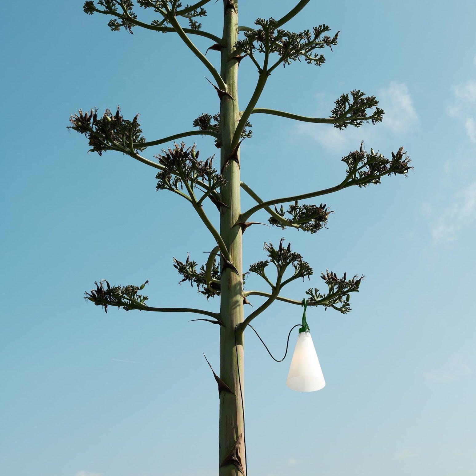 EcoGlow | Outdoorlampe | Nachhaltig, Tragbar, Wetterfest | Garten, Camping & Picknick