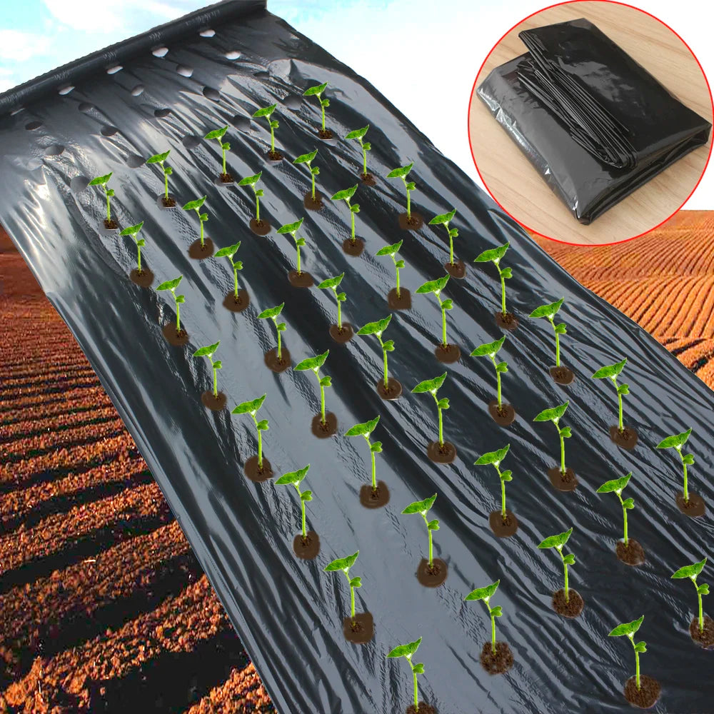 AgroGrow PE Agrarfolie mit Pflanzlöchern | 95 cm Breite | Wärmespeichernd & Feuchtigkeitsschützend | Ideal für Gemüseanbau