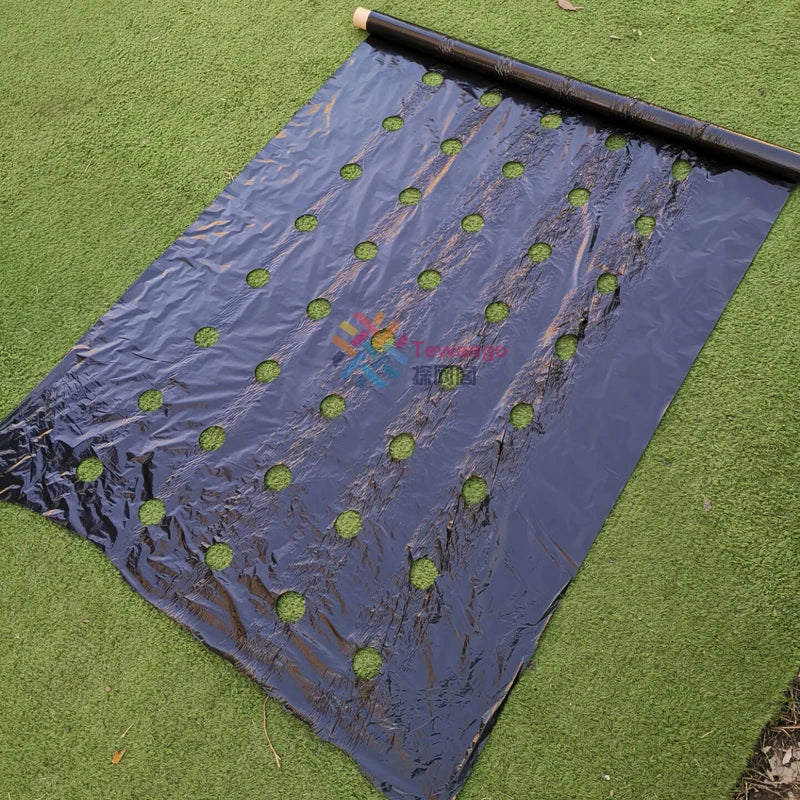 AgroGrow PE Agrarfolie mit Pflanzlöchern | 95 cm Breite | Wärmespeichernd & Feuchtigkeitsschützend | Ideal für Gemüseanbau