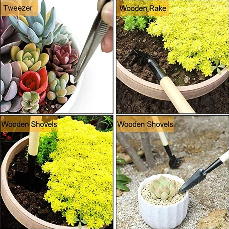 Floravivo | Mini-Gartenset | 13-teilig, präzise & langlebig | Bonsai, Sukkulenten & Zimmerpflanzen