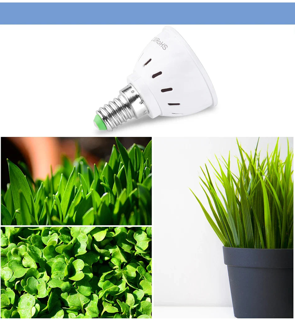 GrowLuma Pflanzenlampe | Vollspektrum LED | Für alle Wachstumsphasen | E27/E14/GU10/B22/MR16