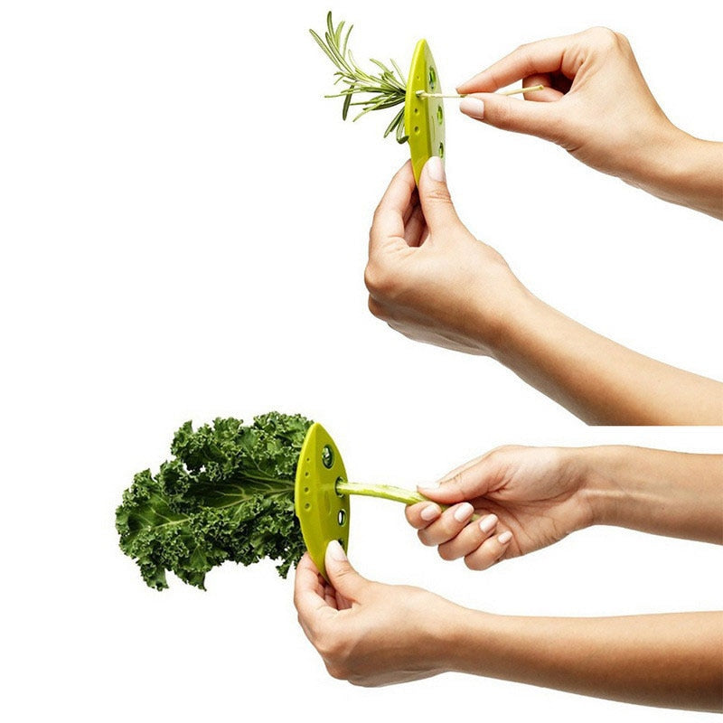EasyLeaf – Kräuter & Gemüse in Sekunden entstielt!