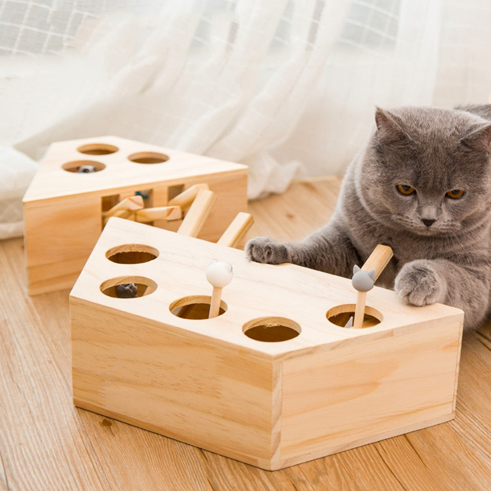 PawFun Wood – Endloser Spielspaß für glückliche Katzen!