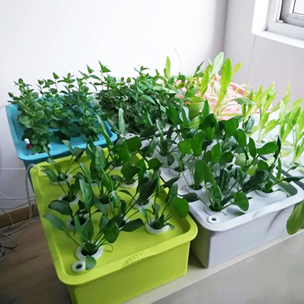 Hydrovero Hydroponik Box | 24 Pflanzenplätze | DWC-System | Indoor Komplettset