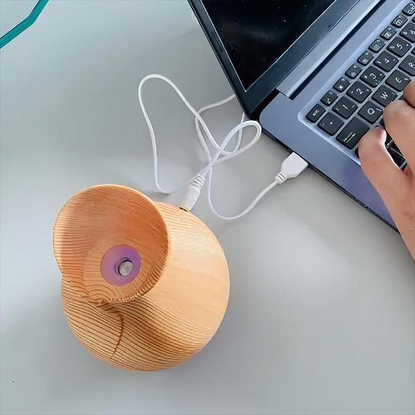 AromaMist™ – LED-Luftbefeuchter mit ätherischen Ölen