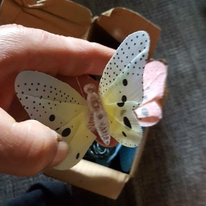 LumiWings – Verwandle Garten & Zuhause in ein Märchenland!