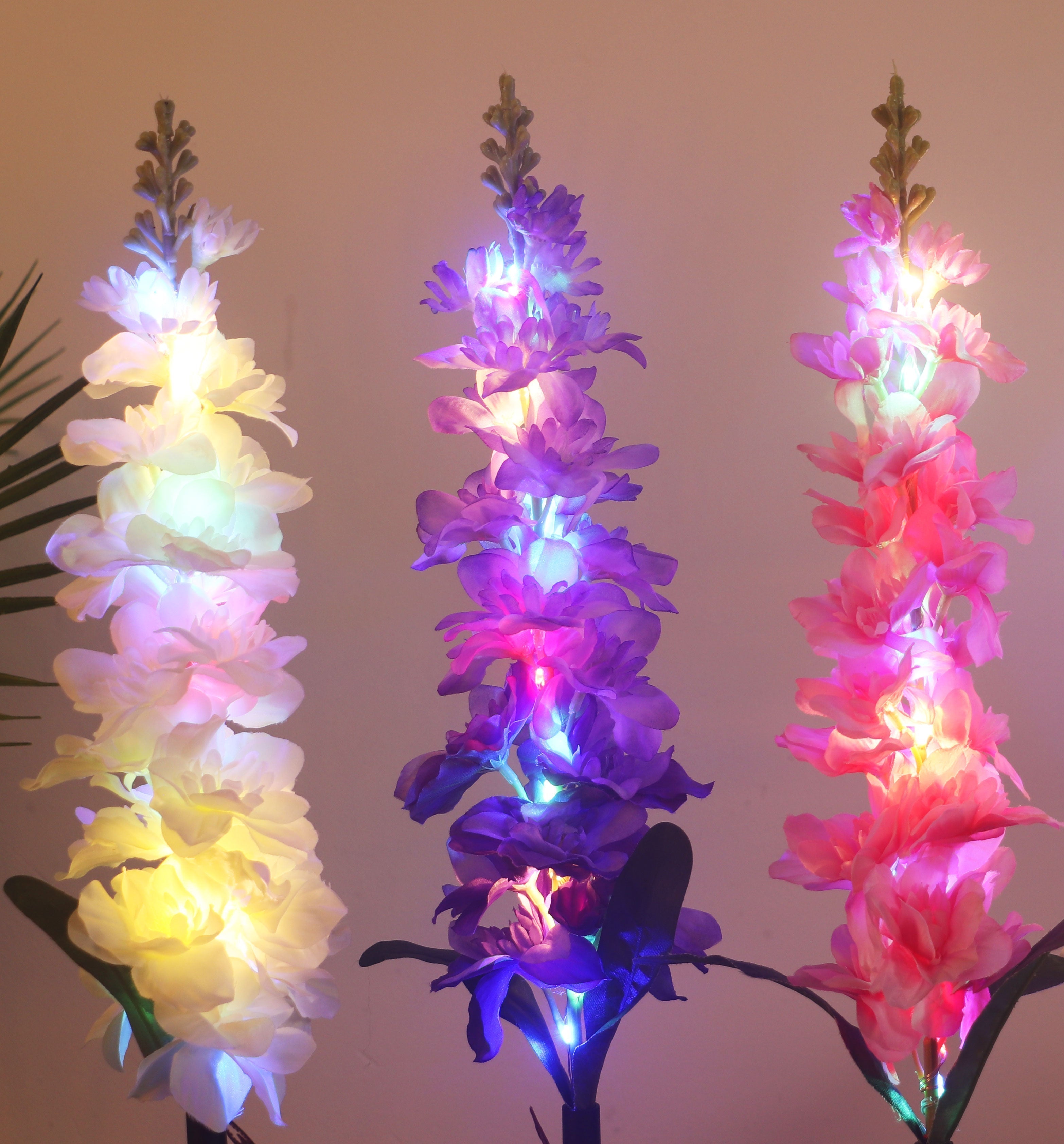1+1 GRATIS | SonnenBlüte – Farbzauber mit Solarenergie!