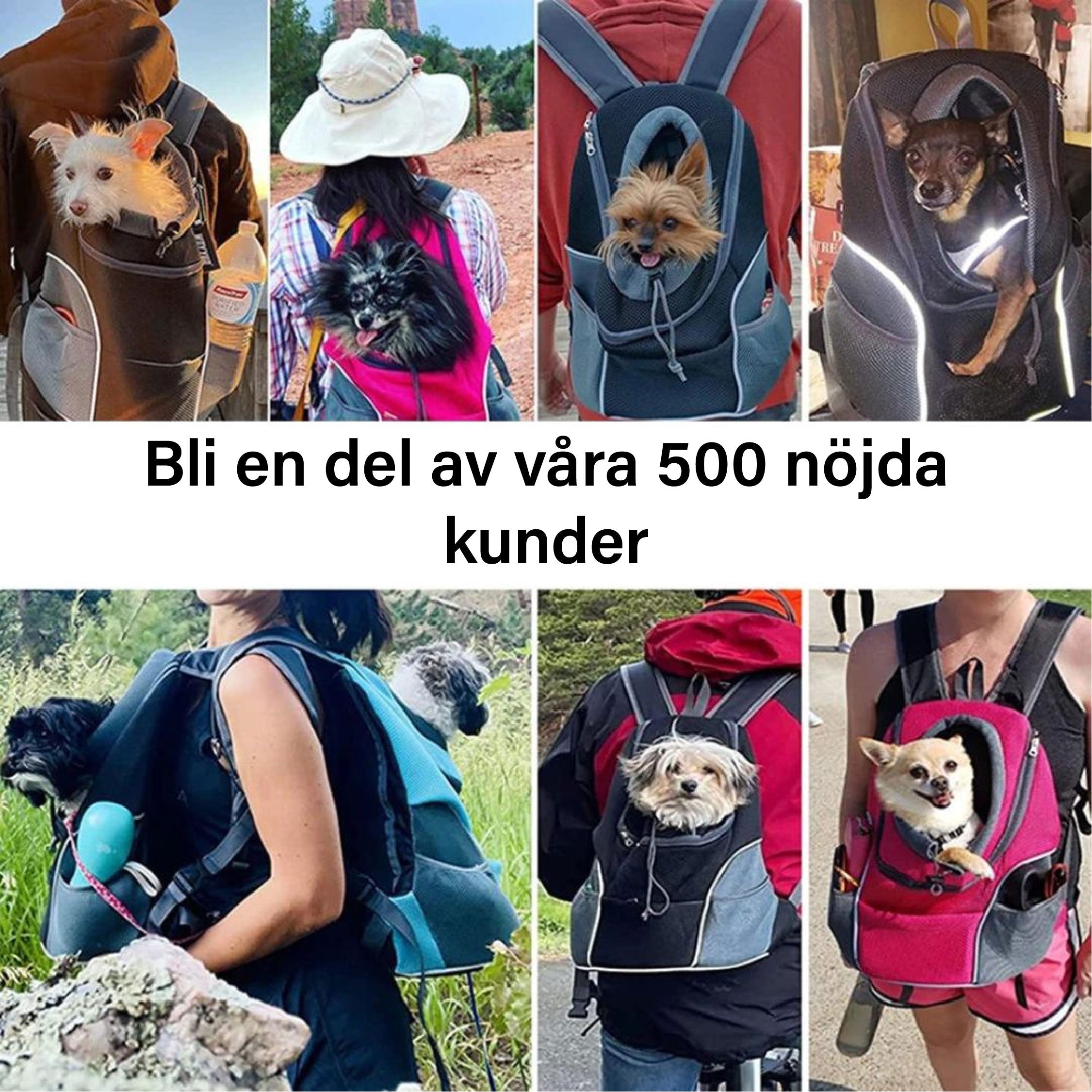 PawCarry – Gemeinsam überall unterwegs