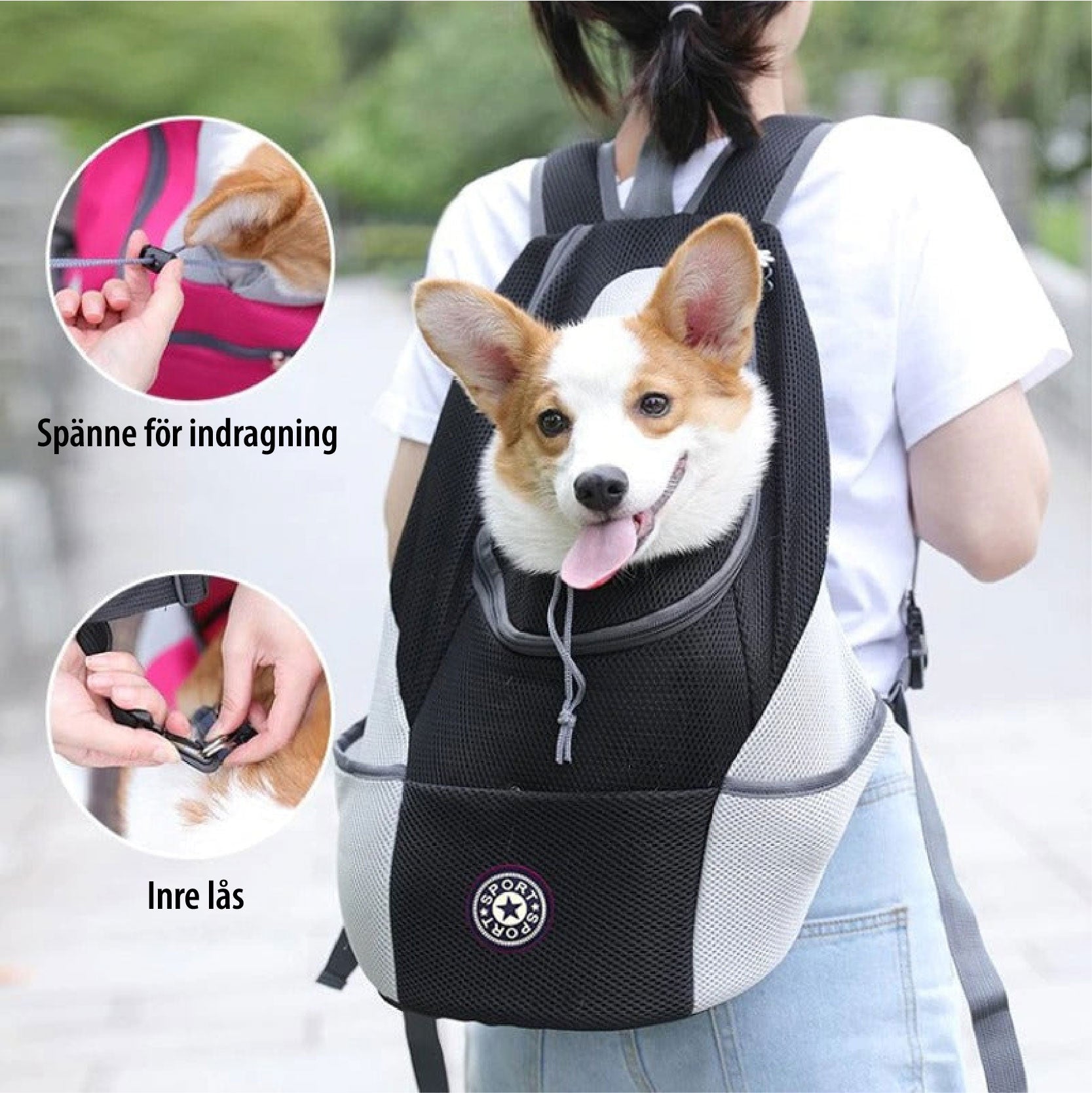PawCarry – Gemeinsam überall unterwegs