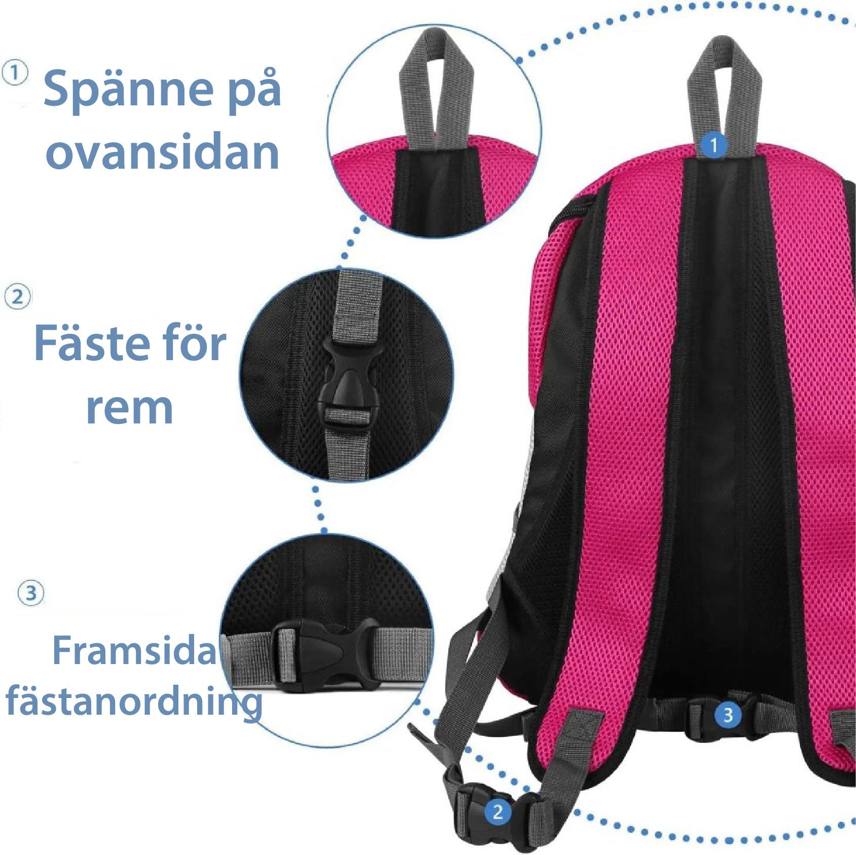 PawCarry – Gemeinsam überall unterwegs