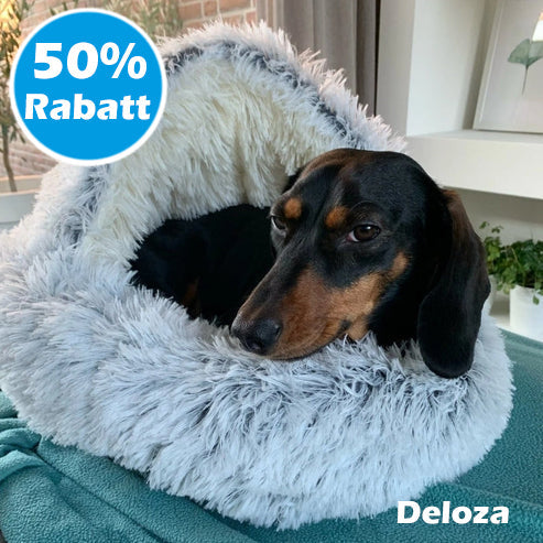 50% RABATT | PurrRest™ - Bequemes Haustierbett [Letzter Tag Rabatt]
