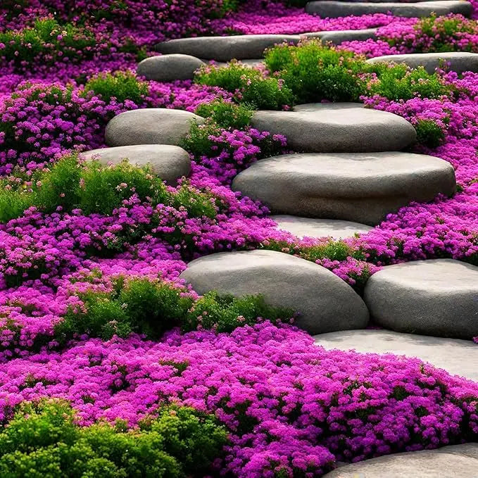 BloomMat™ – Der duftende Bodendecker für Garten &amp; Wege
