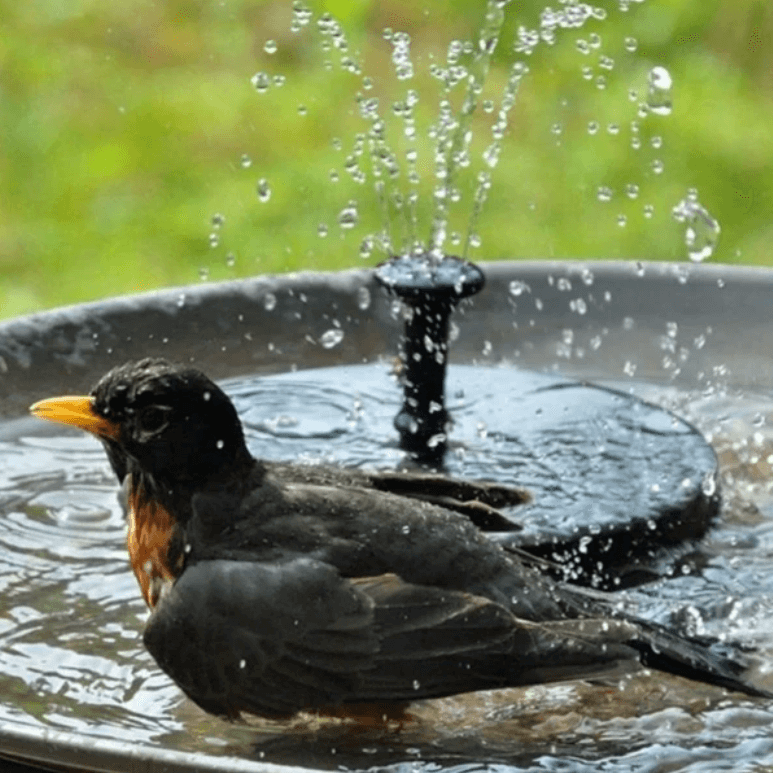 WaterGlow – Solarbrunnen mit LED & 4 Wasserstrahlmustern!