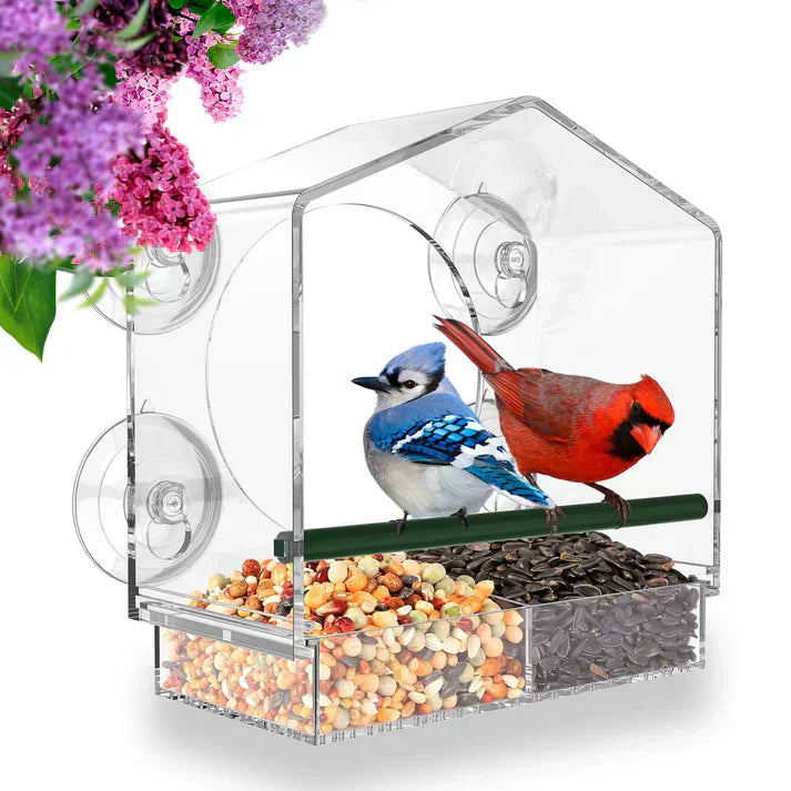 Birdelio Fenster-Vogelhaus | Transparent & Wetterfest | Mit Saugnäpfen | Für Naturnahe Vogelbeobachtung