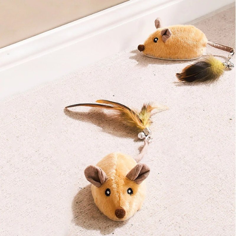 CatChase – Der wilde Jagdspaß für neugierige Katzen!