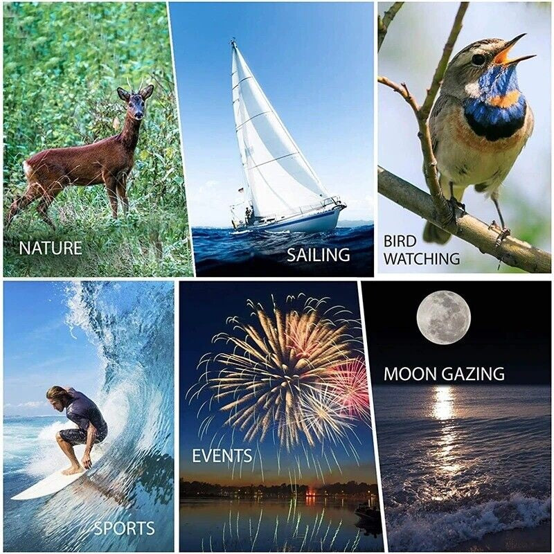 ZoomTrek – Erlebe die Welt bis ins kleinste Detail!