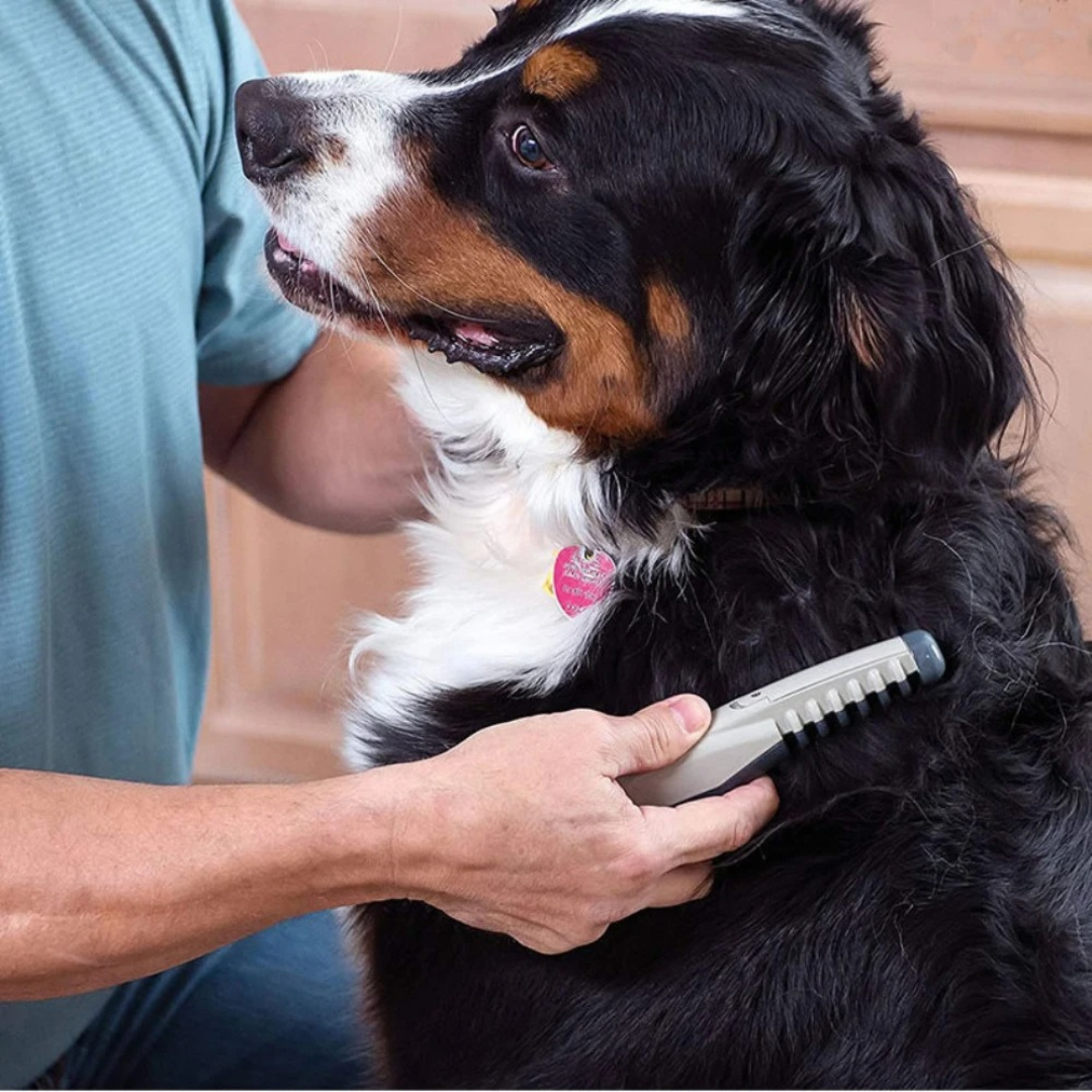PetCare Pro Trimmer | Knotenfreies Trimmen | Schmerzfreie Fellpflege | Für Hunde & Katzen