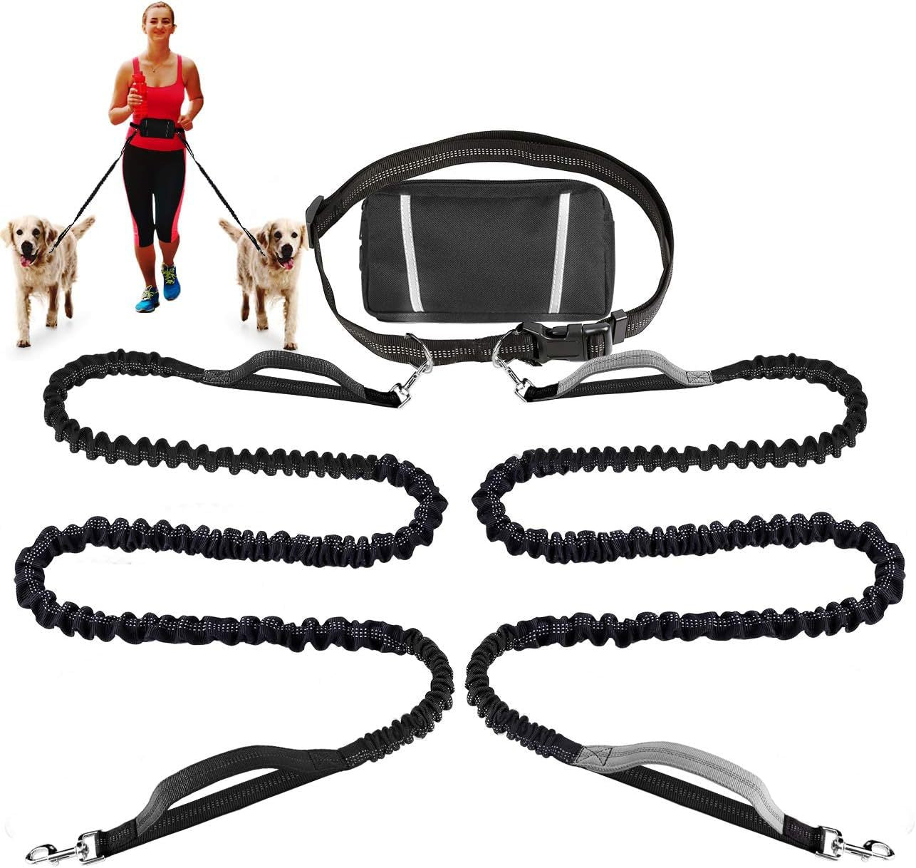 PawsFree Pro – Stressfreie Spaziergänge mit deinem Hund!