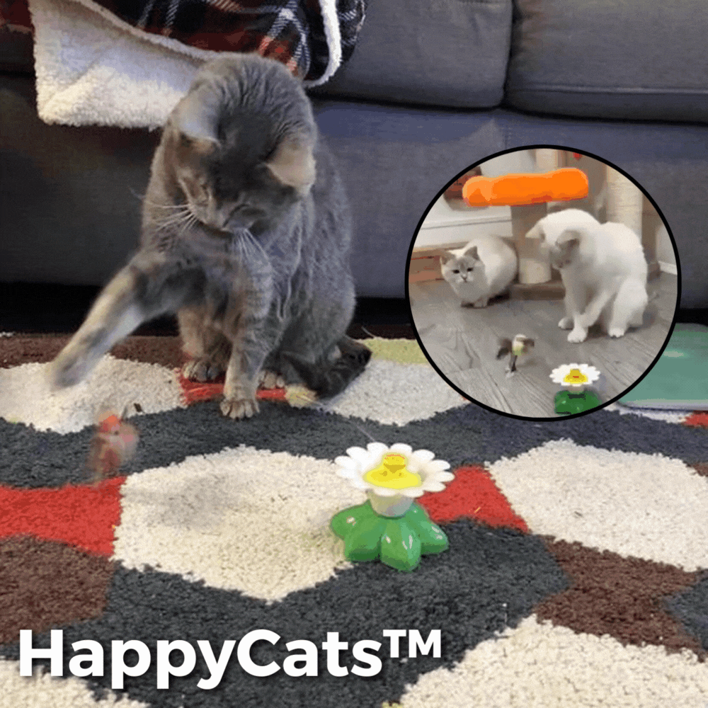 50% RABATT | HappyCats - Interaktives Vogelspielzeug für Katzen [Letzter Tag Rabatt]