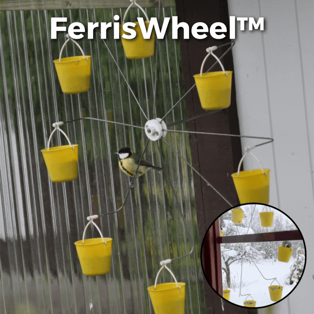 50% RABATT | FerrisWheel - Vogelfutterhaus für draußen [Letzter Tag Rabatt]