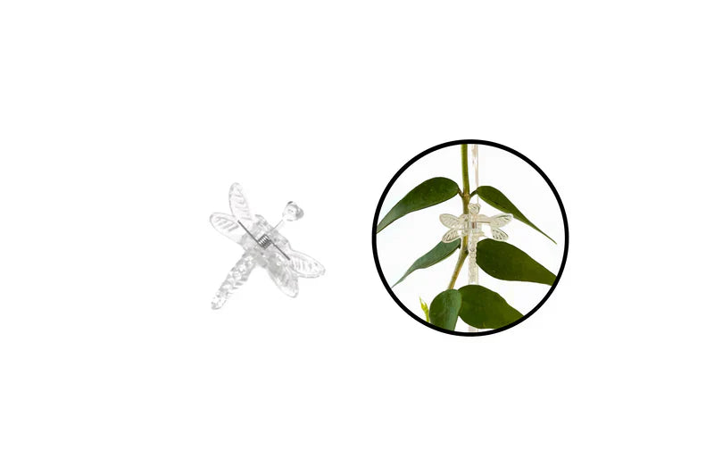 PlantGuard Stengelclips | Unsichtbare Pflanzenhalter für Kletterpflanzen | 100 Stück | Transparentes Design