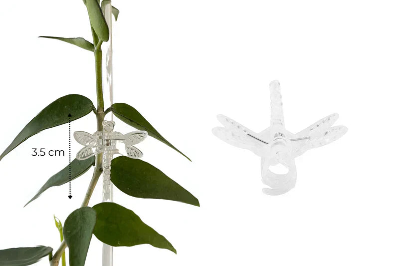 PlantGuard Stengelclips | Unsichtbare Pflanzenhalter für Kletterpflanzen | 100 Stück | Transparentes Design