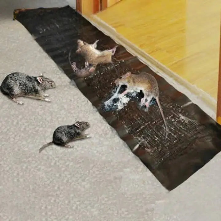 RatTrap™ – Ungiftige Klebefalle gegen Schädlinge