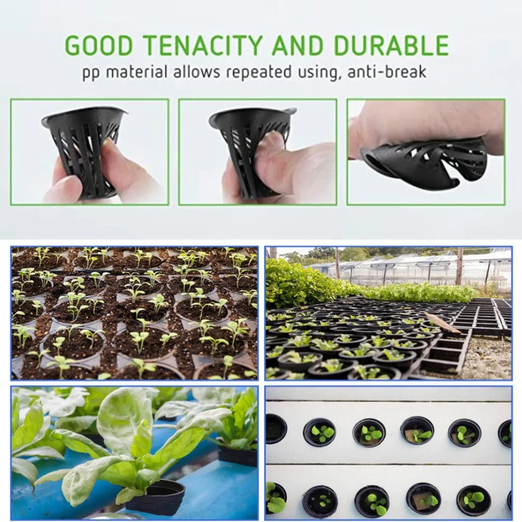 HydroGrow | 25er Set Hydroponik Netztöpfe | Wiederverwendbar | Für Aeroponik & Hydrokultur