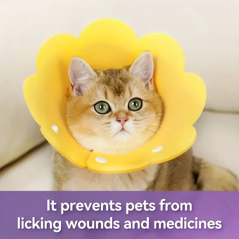 SoftGuard Pet Collar | Sanfter Schutzkragen für Hunde & Katzen | Postoperative Heilung & Fellpflege | Beidseitig verwendbar & Wiederverwendbar | Komfortabler Schutz ohne Einschränkungen