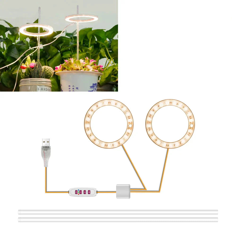 Plantuno Ring Pflanzenlampe | LED Grow Light mit Timer | USB | Dimmbar & 3 Lichtfarben | 1–4 Köpfe