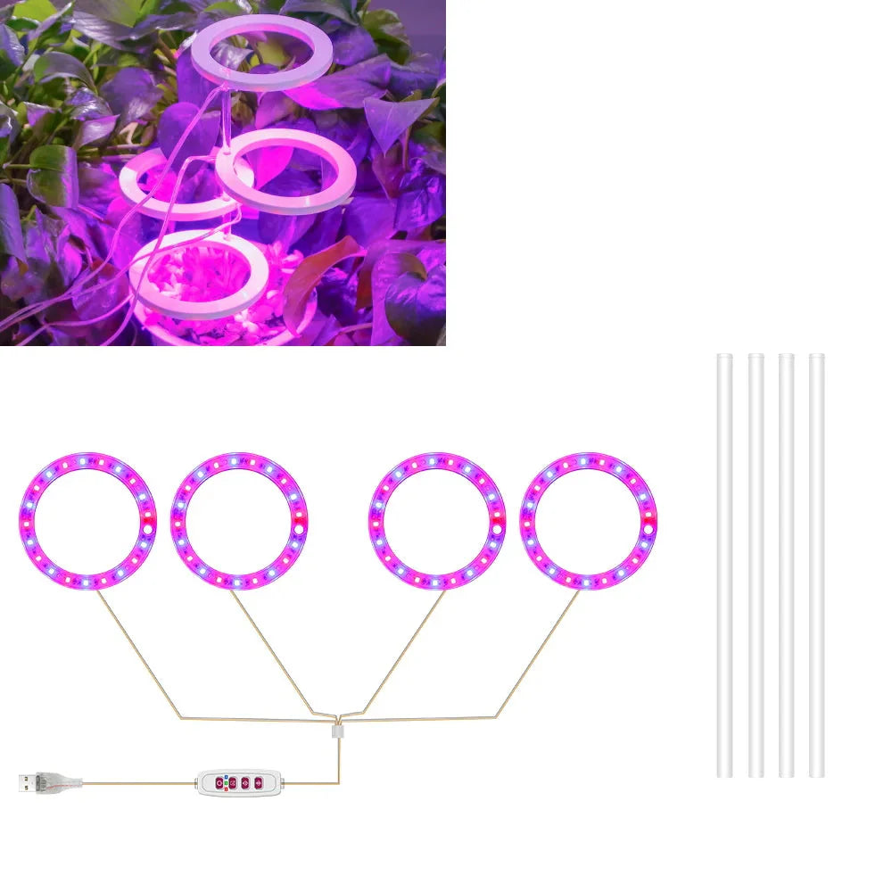 Plantuno Ring Pflanzenlampe | LED Grow Light mit Timer | USB | Dimmbar & 3 Lichtfarben | 1–4 Köpfe