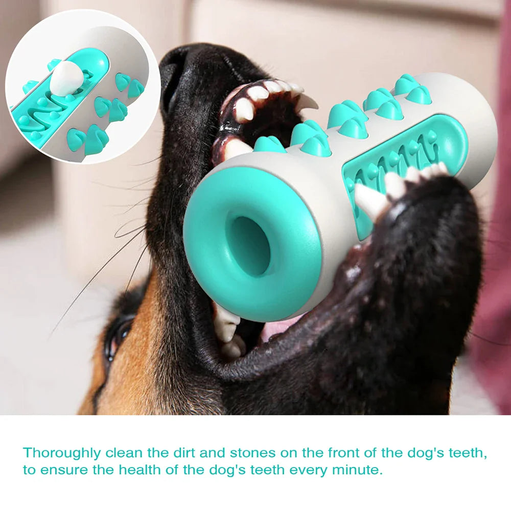 DentalPlay Hundespielzeug | Effektive Zahnreinigung | Stressabbau | Interaktives Kauspielzeug | Bissfest & Sicher