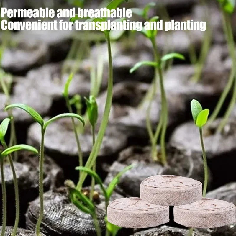 GreenSprout 100 Stück Kokos-Quelltabletten für Pflanzenanzucht | Nährstoffreiche Kokoserde | Ideal für Setzlinge, Gewächshaus & Hydrokultur