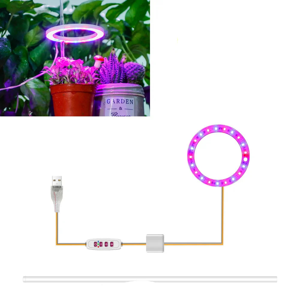 Plantuno Ring Pflanzenlampe | LED Grow Light mit Timer | USB | Dimmbar & 3 Lichtfarben | 1–4 Köpfe