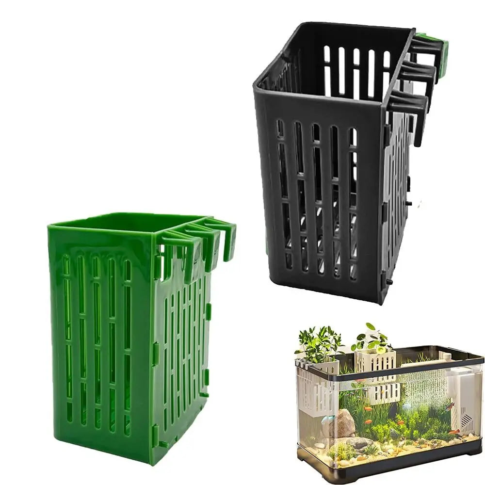 1+1 GRATIS | TankBloom – Natürliches Flair für dein Aquarium!