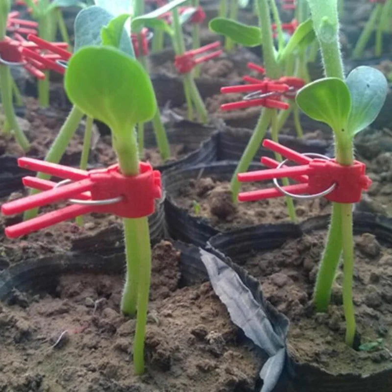 PlanturaClip Pflanzenclips | Stabilisieren & Fixieren | Sanft zur Pflanze | Vielseitig Einsetzbar