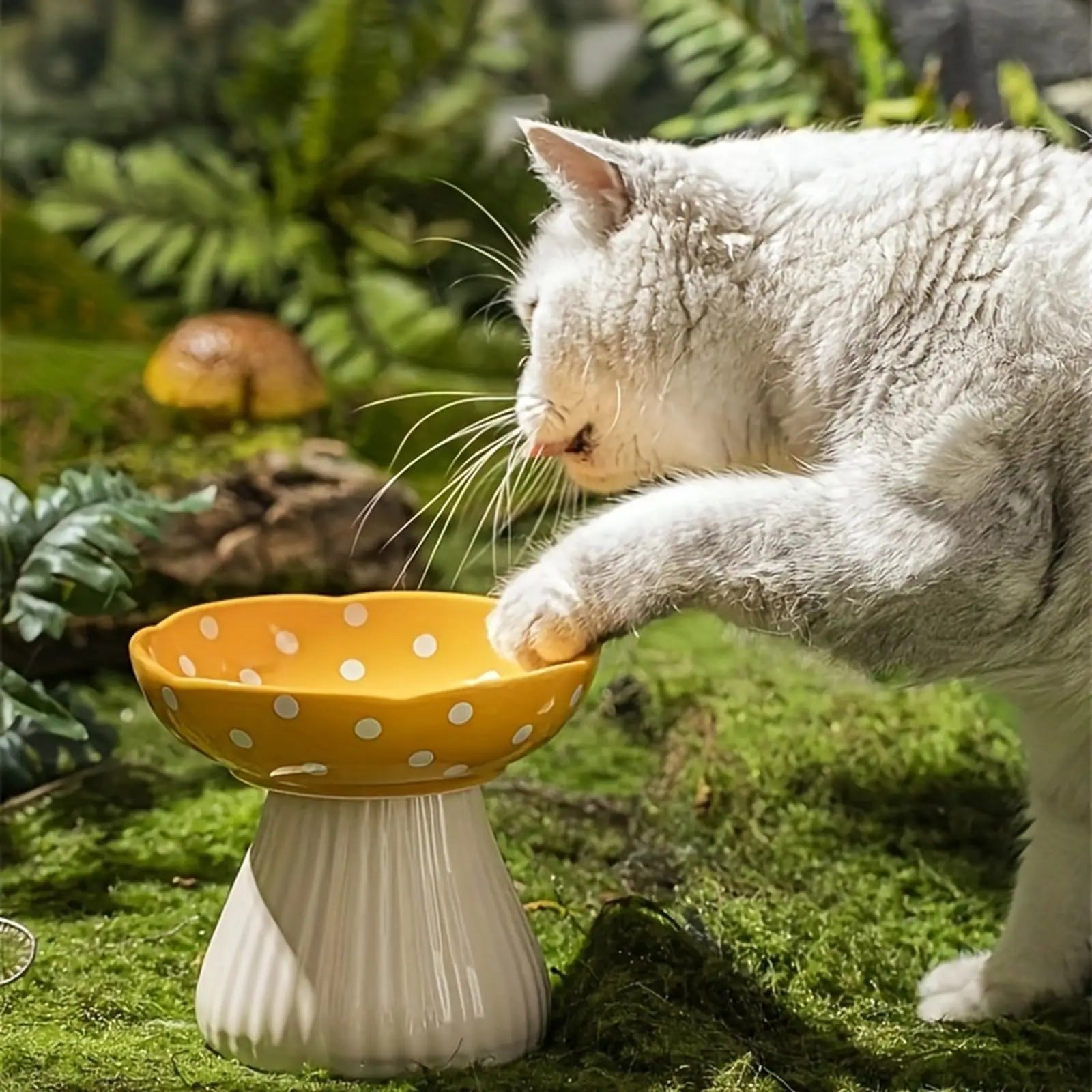 PawMush | Keramik-Katzennapf | Erhöht, ergonomisch & schnurrhaarfreundlich | Futter & Wasser