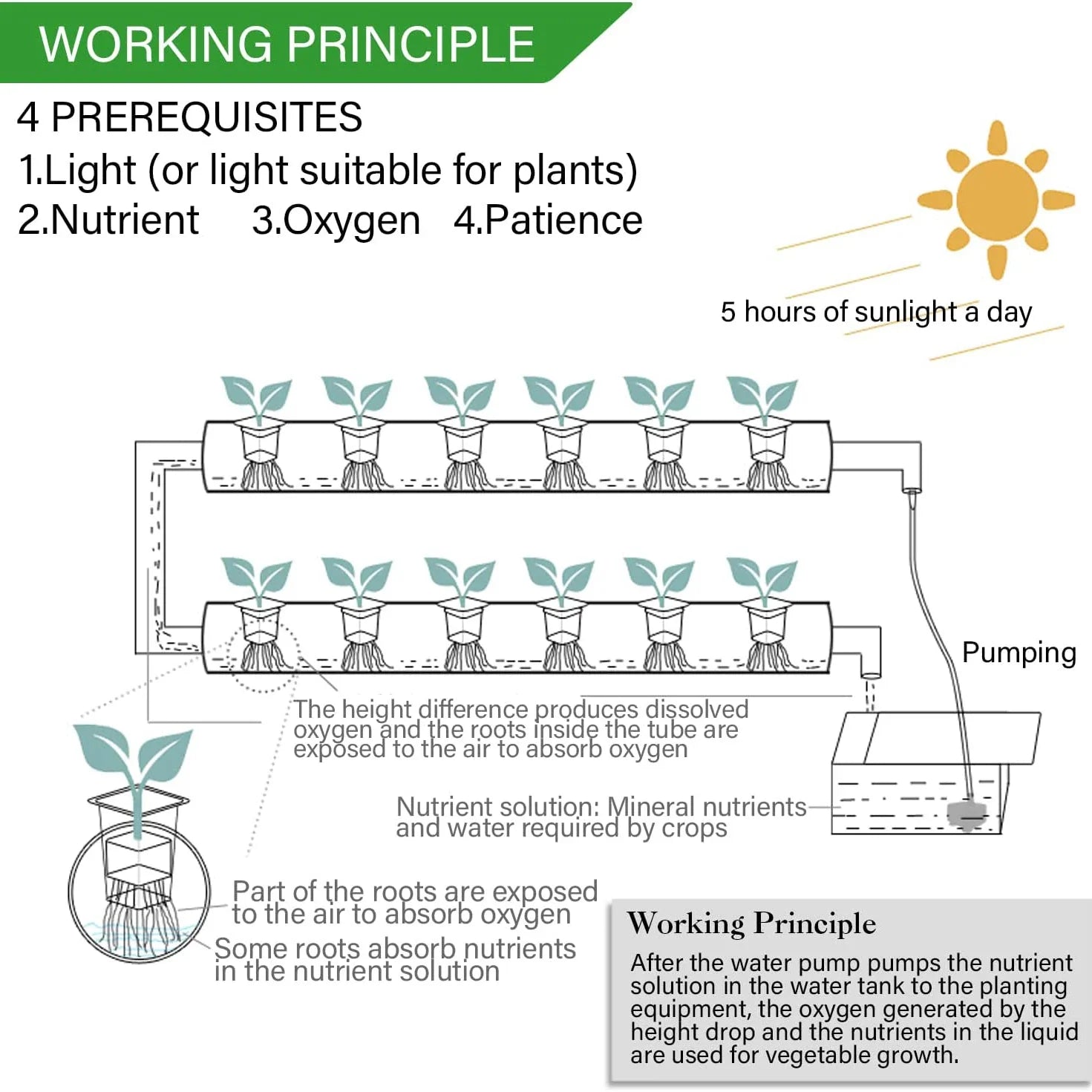 EcoHarvest 36 | Indoor Hydroponik-System | Mit Pumpe & Timer | Für Kräuter & Gemüse | 36 Pflanzplätze Weiß