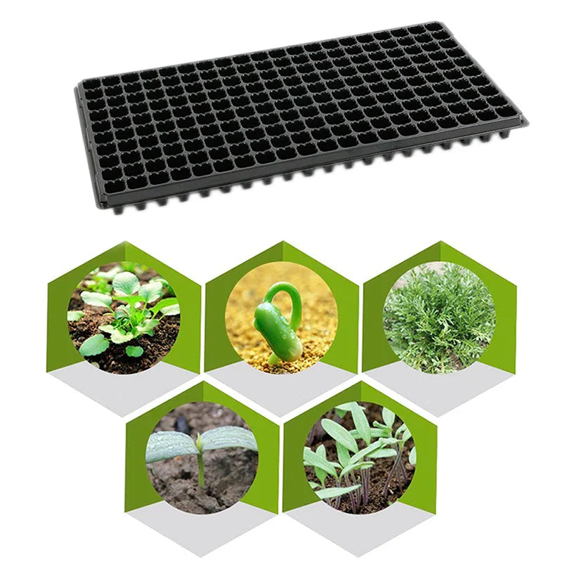 PlantGrow 200er Anzuchtplatte | PVC Keimschale mit Drainage | Wiederverwendbar | Für Gemüse, Kräuter & Obst